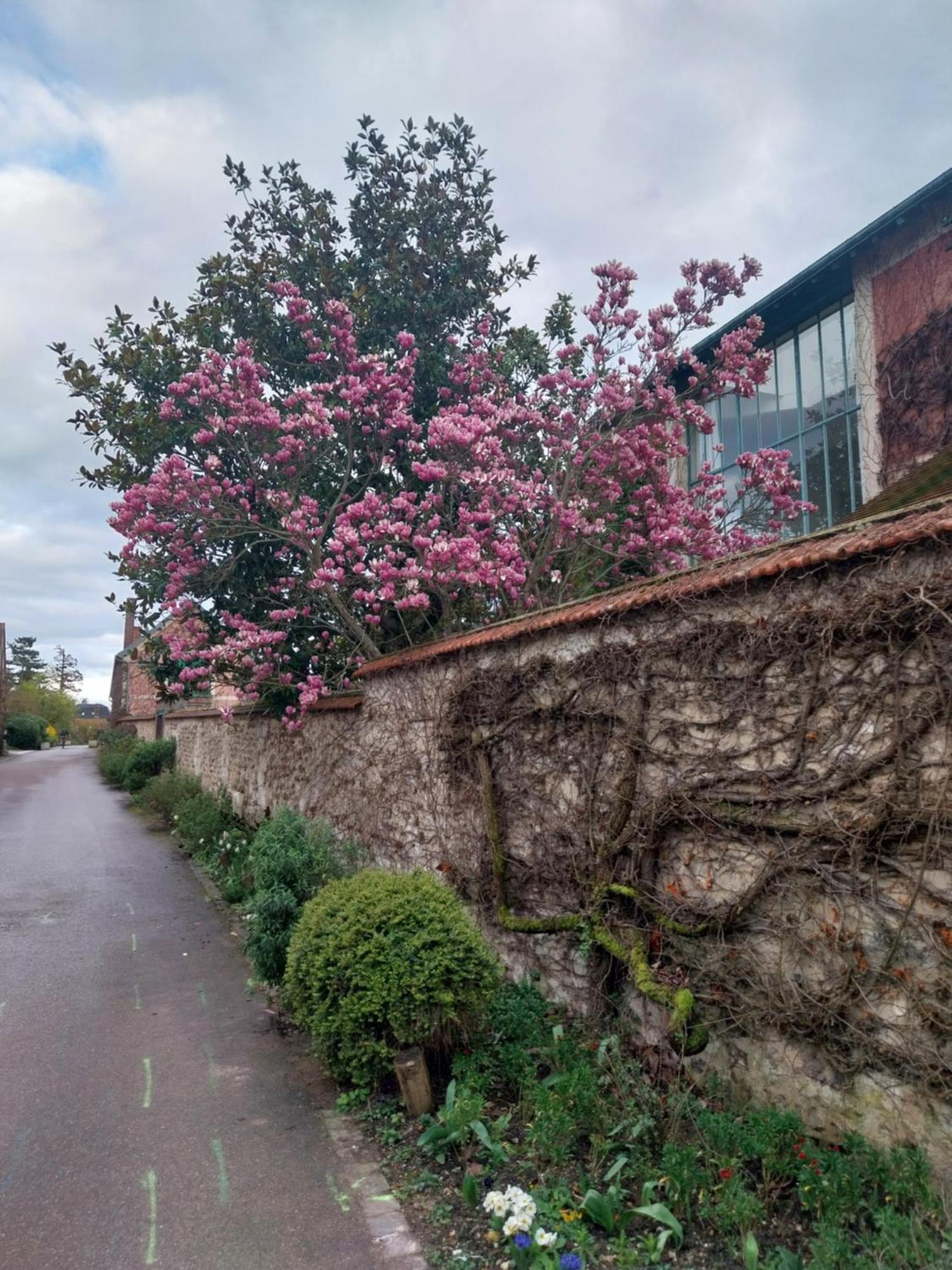 Hotel Le Prieure Reposant Port-Villez Exterior foto